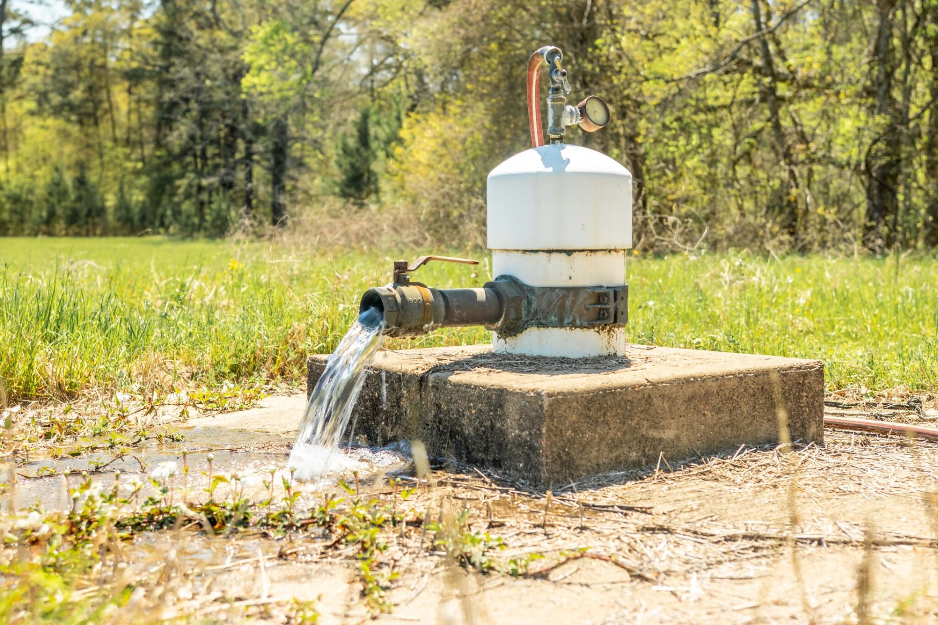 155 Davidson – Artesian Mineral Water Well – Sold at Auction